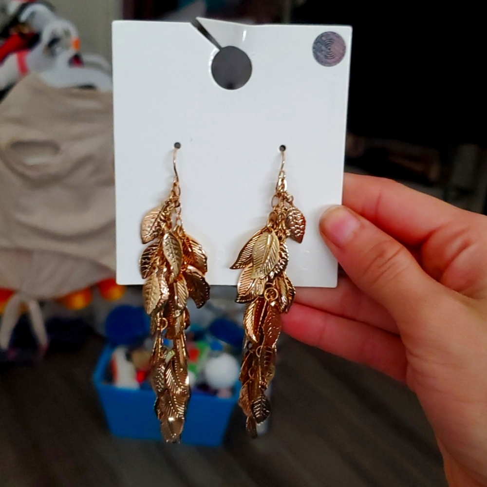Jewelry earrings